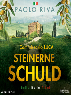 cover image of Steinerne Schuld